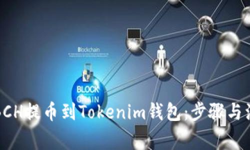 如何将BCH提币到Tokenim钱包：步骤与注意事项