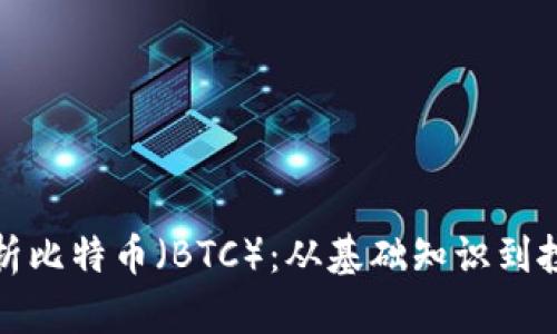 深入解析比特币（BTC）：从基础知识到投资策略