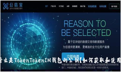 什么是TokenTokenIM钱包的公钥？如何获取和使用？