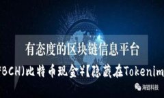 如何安全存储BCH（比特币