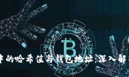 区块链中的哈希值与钱包地址：深入解析及应用