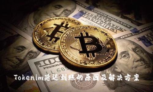 Tokenim延迟到账的原因及解决方案