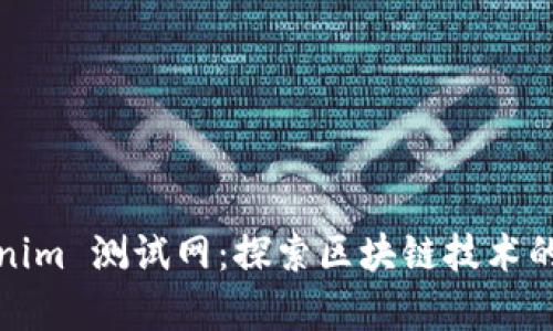 Tokenim 测试网：探索区块链技术的前沿