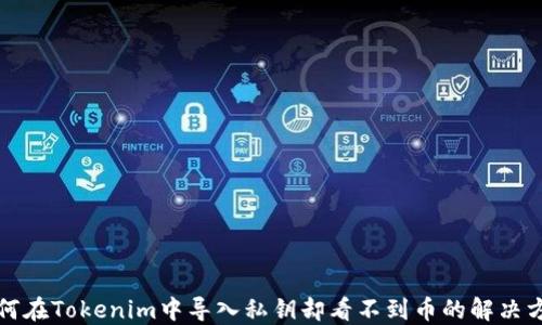 
如何在Tokenim中导入私钥却看不到币的解决方案