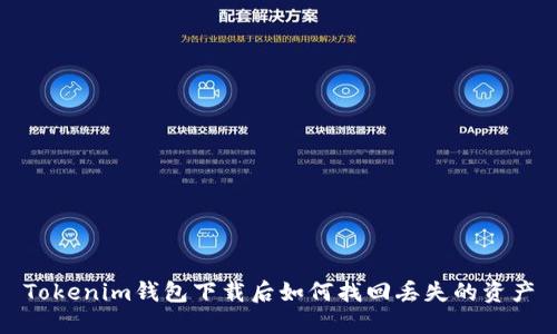 Tokenim钱包下载后如何找回丢失的资产