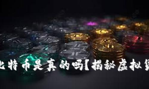 Tokenim里的比特币是真的吗？揭秘虚拟货币交易的真相